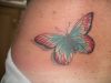 butterfly image tats on shoulder